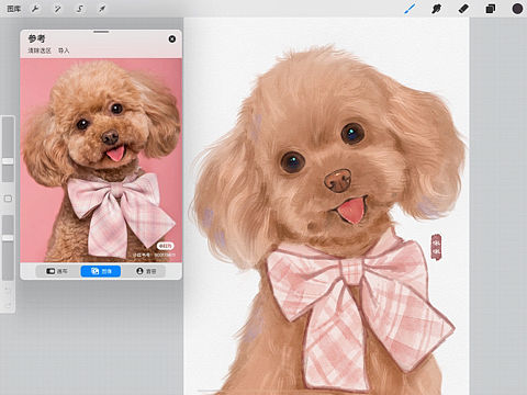 Procreate绘画 水彩宠物