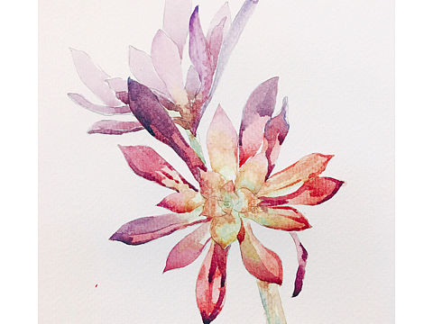 黑法师变红法师了