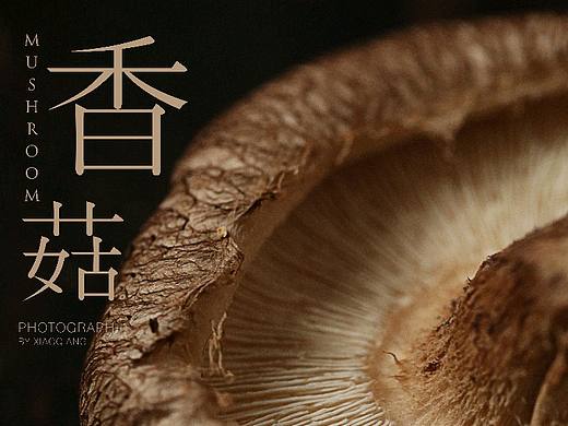 香菇！
