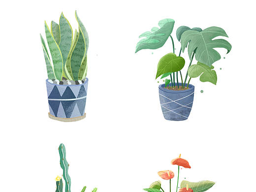 插画植物步骤|原创|