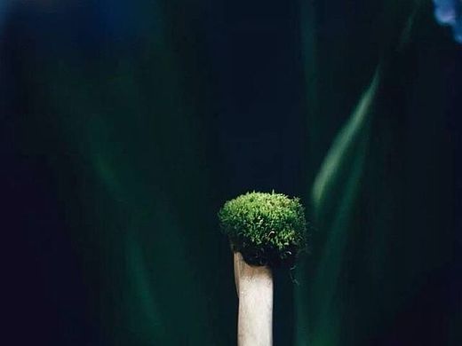 蜜约美术花艺工作室—摄影