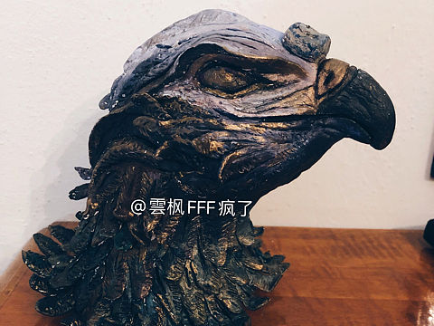 纸黏土鹰头（个人主页-ZNDIzODczNDQ=） - 雕塑 - 站酷设计师雲枫FFF疯了原创素材 - 站酷ZCOOL