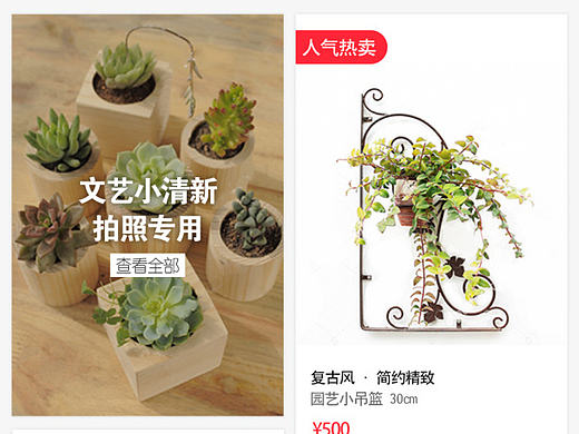 多肉商城app及一些烂七八糟的小设计