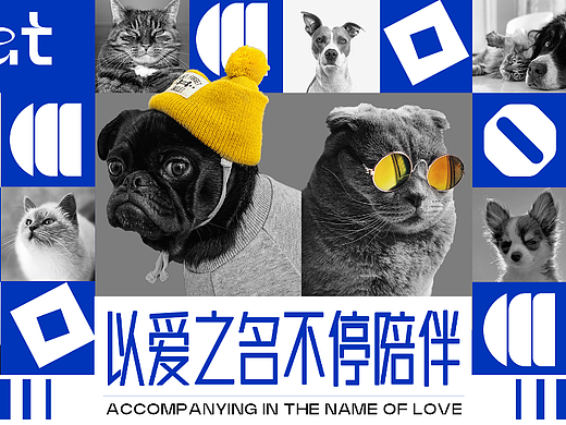 EAT猫粮狗粮品牌设计