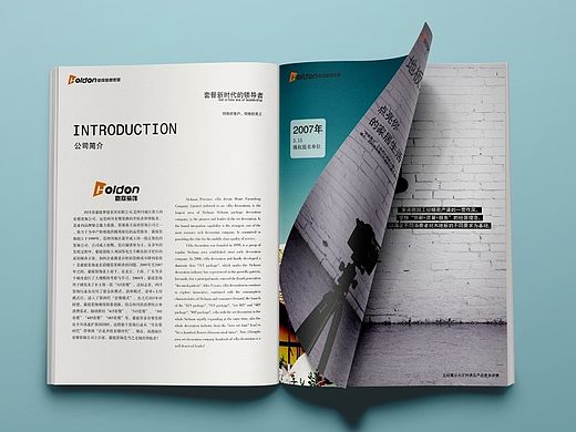 豪庭装饰企业画册