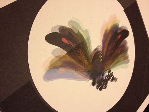 雙生系列作品（個(gè)人主頁(yè)-ZMTI2MjY5NDg=） - 藝術(shù)插畫(huà) - 站酷設(shè)計(jì)師shaoyn原創(chuàng)素材 - 站酷ZCOOL