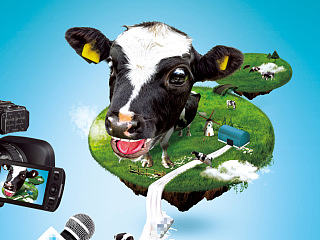 忧伤的血盆大口牛。