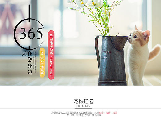 宠物托运首页详情页