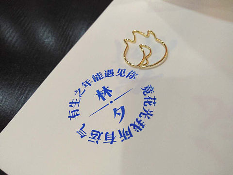 11周年济南站<(▰˘◡˘▰)>