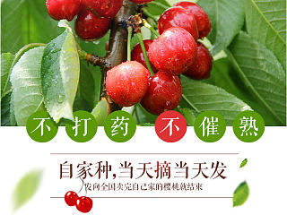 水果详情页