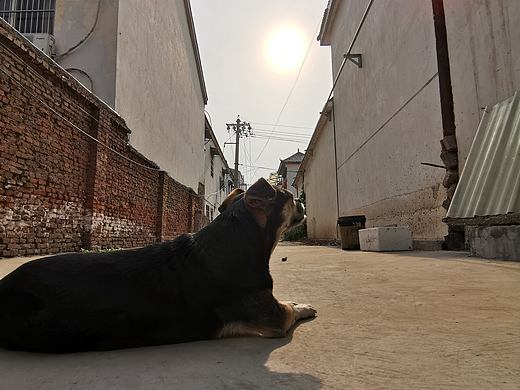 夕陽（個人主頁-ZNDQwODY1MTY=） - 其他 - 站酷設(shè)計(jì)師Z04963811原創(chuàng)素材 - 站酷ZCOOL