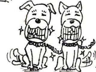 #黑猫每日小画#012