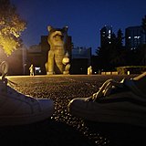 M猫猫的头像