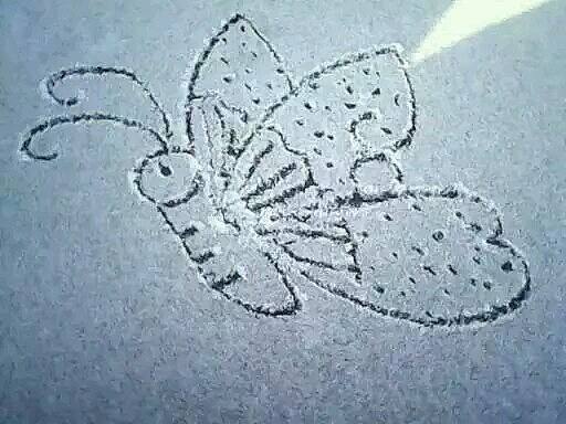 飞翔是我的梦想