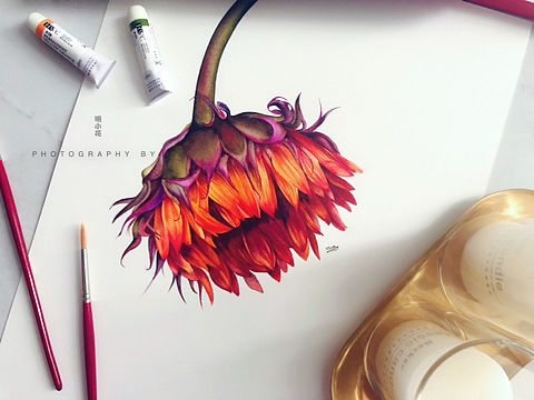 明小花水彩～燃而炽热～附全过程图