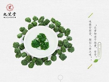 九芝堂三七花详情页