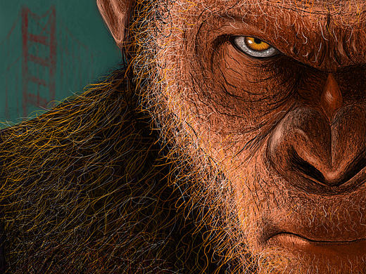 电影海报插画练习（猩球崛起）