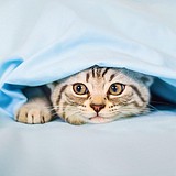 Edgar_song的头像