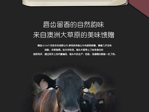 改版，详情页设计（个人主页-ZMjMwMjY0OTY=） - 其他平面 - 站酷设计师抓不住d流沙原创素材 - 站酷ZCOOL