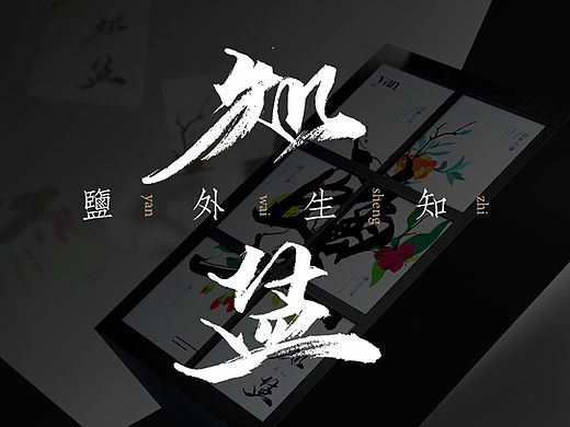 盐外生知——知盐 / 包装设计
