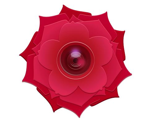 花朵照相机