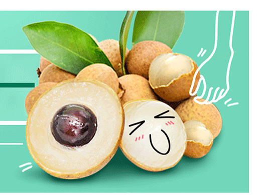 水果季—龍眼（個人主頁-ZMTk1NjcxODQ=） - 宣傳物料 - 站酷設(shè)計師搖滾丁原創(chuàng)素材 - 站酷ZCOOL