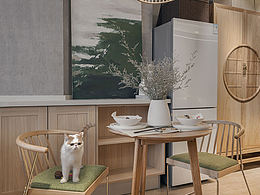 喵星人梦想改造家