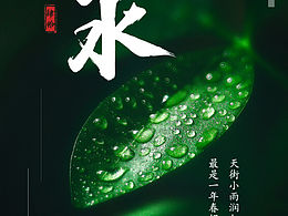 二十四节气之雨水海报