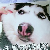 一盏凉茶的头像