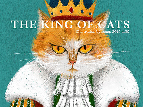 猫王（个人主页-ZMzUyOTk3NjA=） - 创作习作 - 站酷设计师勺子大人原创素材 - 站酷ZCOOL