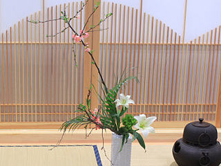 Sakura fair