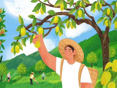 源味天诚 果干封面插画设计