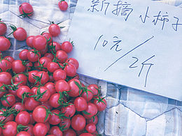 海报