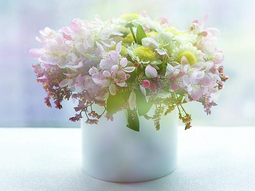 花言花语|花艺产品摄影