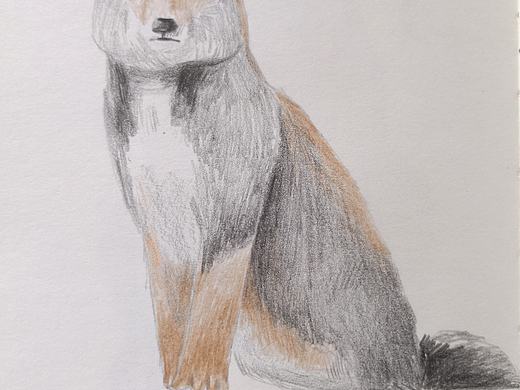 神奇动物在哪里（个人主页-ZMjk2MTkzMDA=） - 创作习作 - 站酷设计师易朵云云原创素材 - 站酷ZCOOL