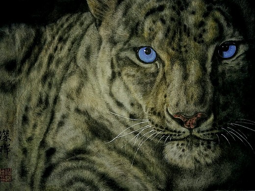 雪豹:蓝眼睛更能打动您吧