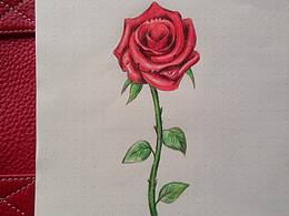 In me the tiger sniffs the rose