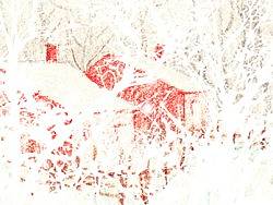 Snow in winter