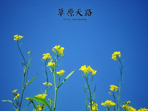 草原天路行【prat.1】2015 . 8 .1