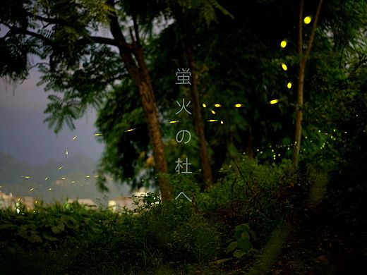 夏日流火