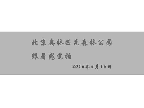 奥林匹克国家森林公园的小傍晚