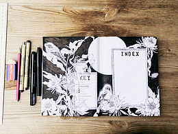 黑白花鸟动物的插画bullet journal 