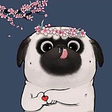 巴扎嘿呀呀呀的头像