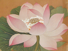 出水芙蓉图 宋画小品临摹 荷花