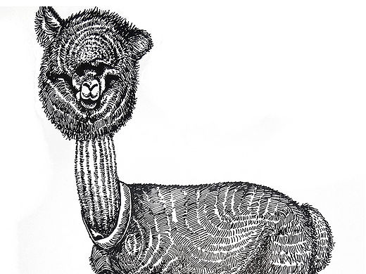 年轻真好（个人主页-ZMTU4MDcxNDQ=） - 商业插画 - 站酷设计师666小六原创素材 - 站酷ZCOOL