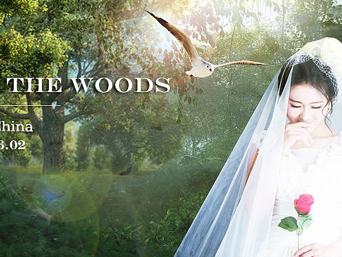 朋友结婚，合成了两张照片，求轻喷