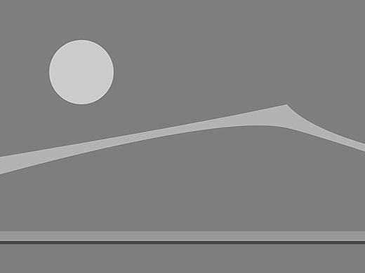 小鸟-印象（个人主页-ZMjE5NTA3NzI=） - 图案 - 站酷设计师游离_G原创素材 - 站酷ZCOOL