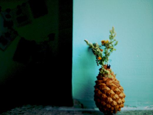 生活需要仪式感