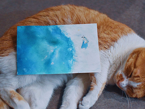 喵和熊（个人主页-ZMzczOTIzNzI=） - 绘画 - 站酷设计师影小鱼儿原创素材 - 站酷ZCOOL