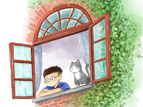 少年与猫的每一天